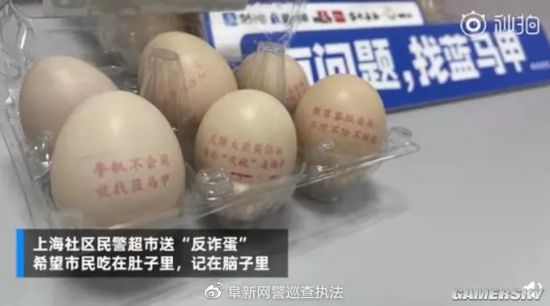 绿夏网络