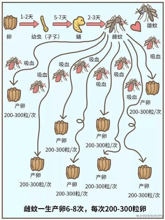 绿夏网络