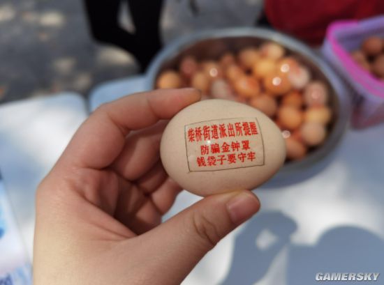 绿夏网络