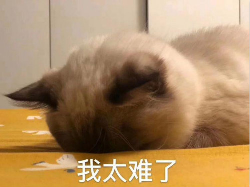 揭秘抖音小店无货源模式 移动互联网 第3张