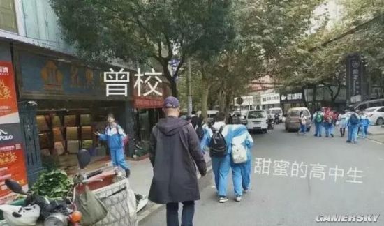 绿夏网络