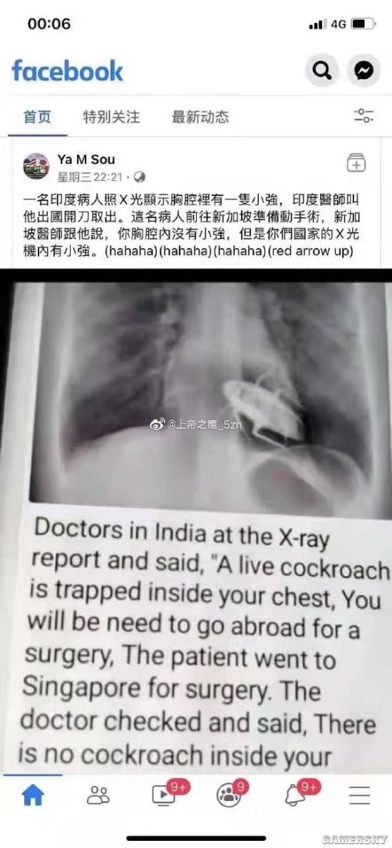 绿夏网络