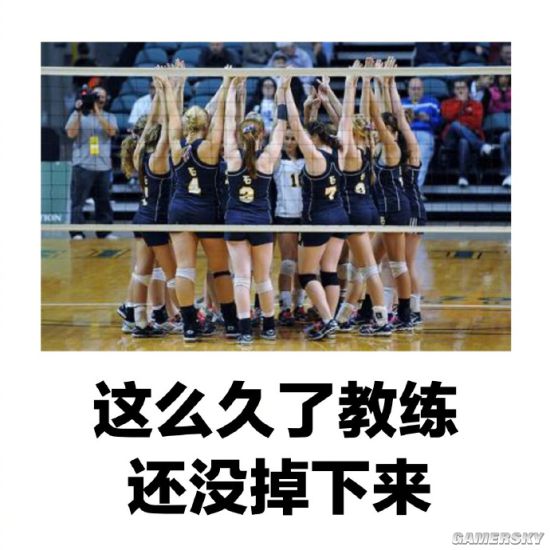 绿夏网络
