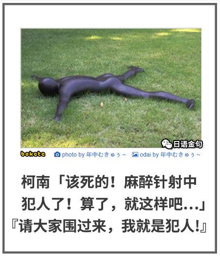 绿夏网络