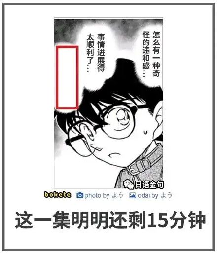 绿夏网络