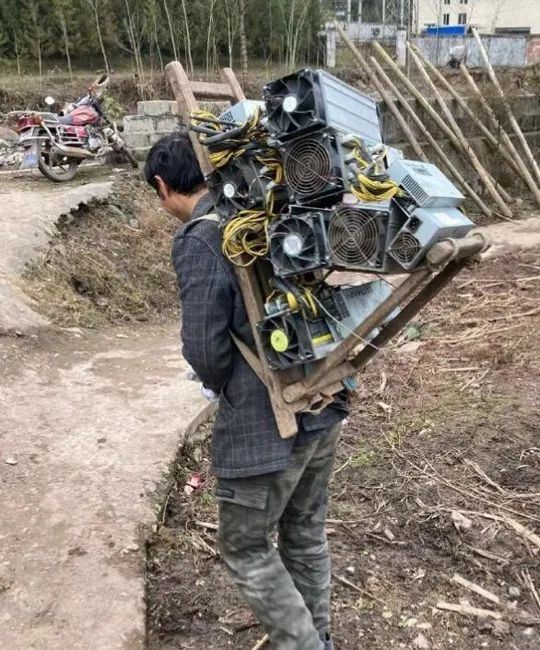 绿夏网络