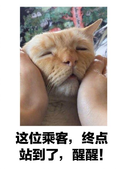 绿夏网络