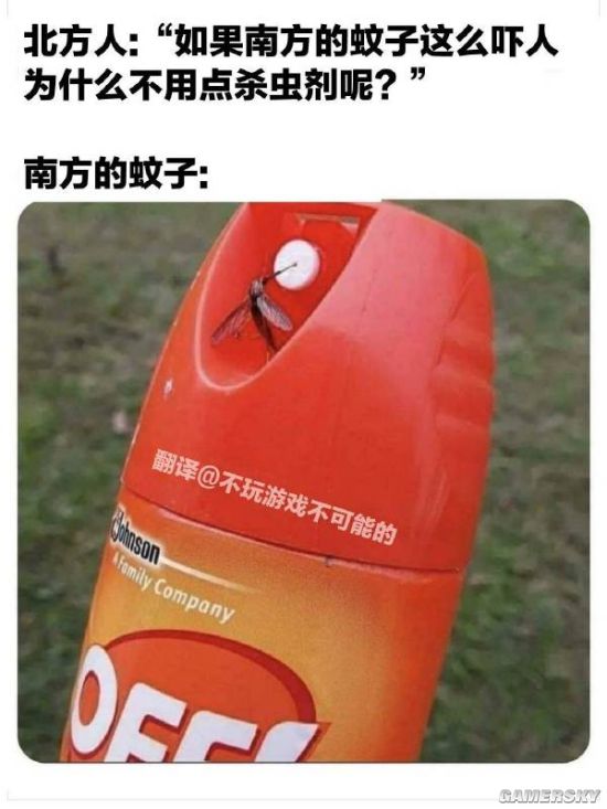 绿夏网络