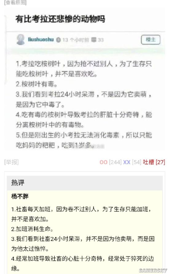绿夏网络