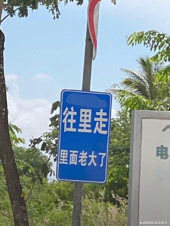 绿夏网络
