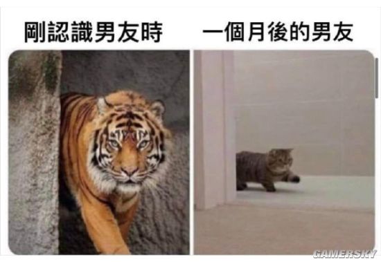 绿夏网络