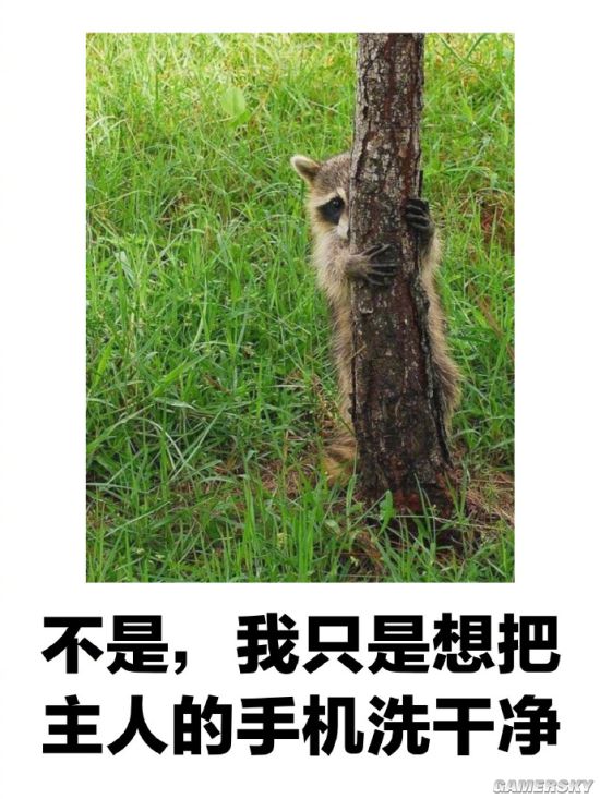 绿夏网络