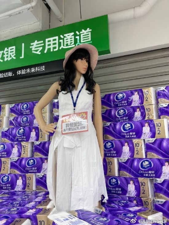 绿夏网络