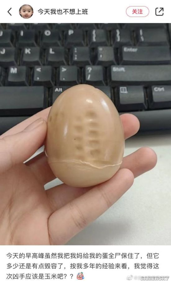 绿夏网络