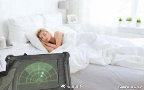 绿夏网络