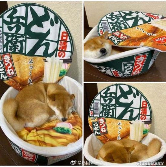 绿夏网络