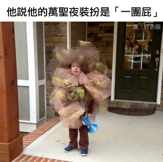 绿夏网络