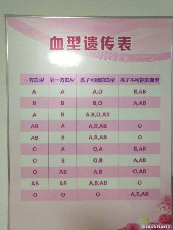 绿夏网络