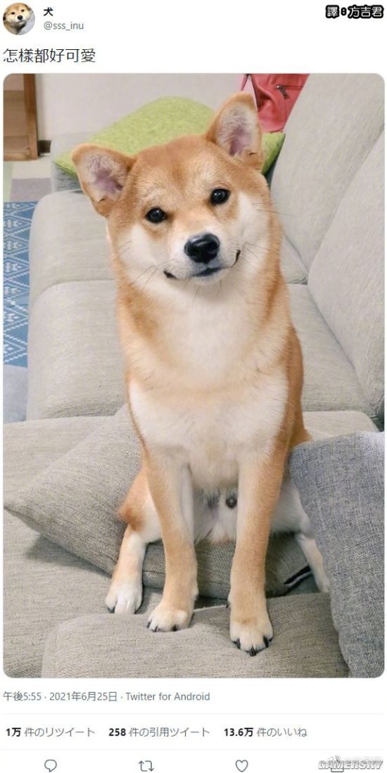 绿夏网络